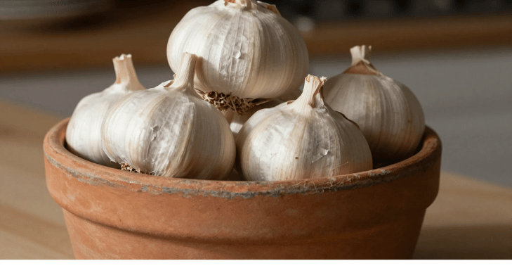 How Long Does Garlic Last on the Counter / at Room Temperature?